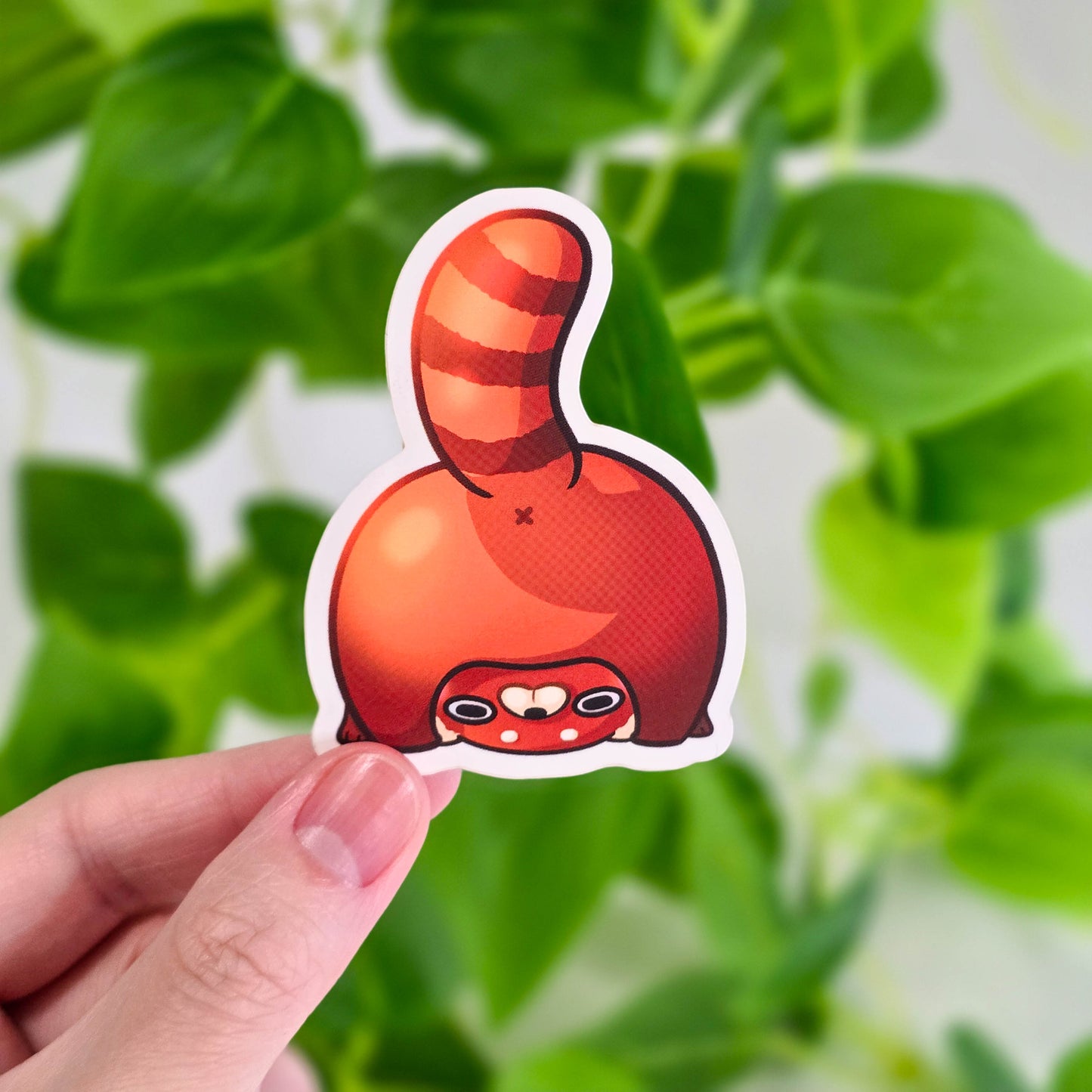 Cute Red Panda Vinyl Stickers